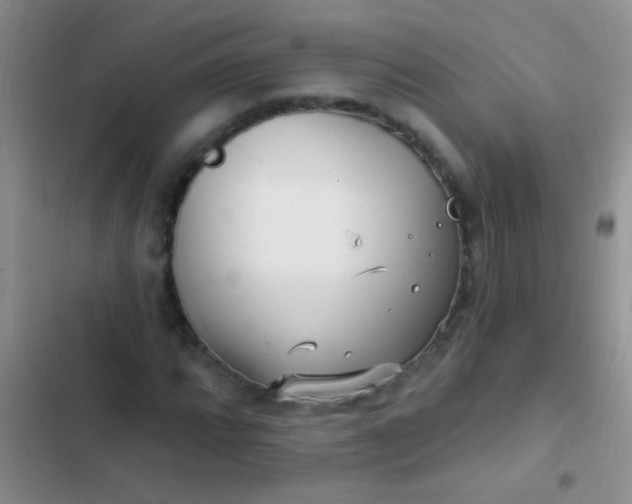 X0000102531064200808221900