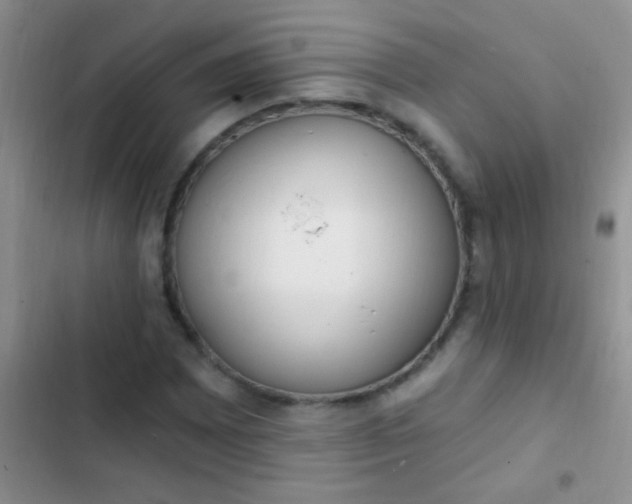 X0000102531065200808221900