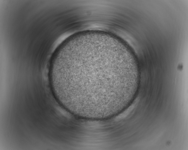 X0000102531066200808221900