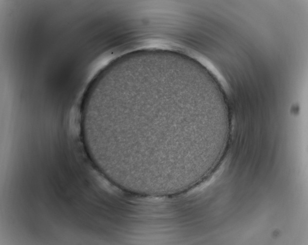 X0000102531067200808221900