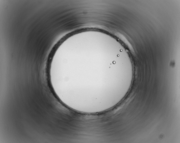 X0000102531068200808221900