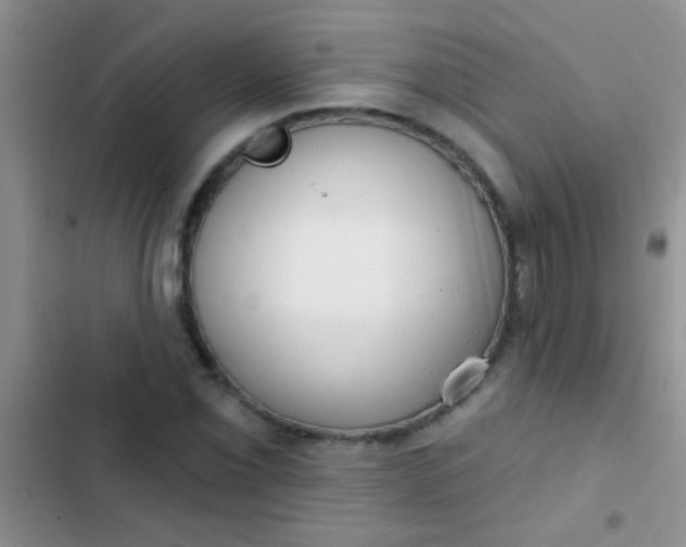 X0000102531069200808221900