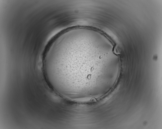 X0000102531070200808221900