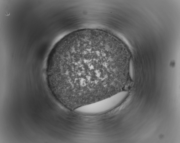 X0000102531071200808221900