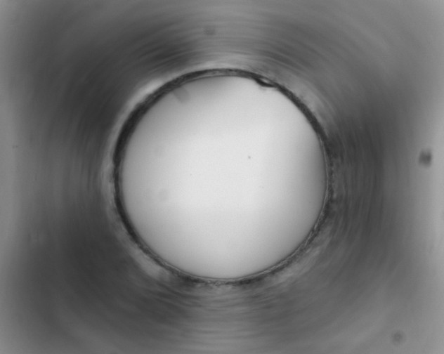 X0000102531072200808221900