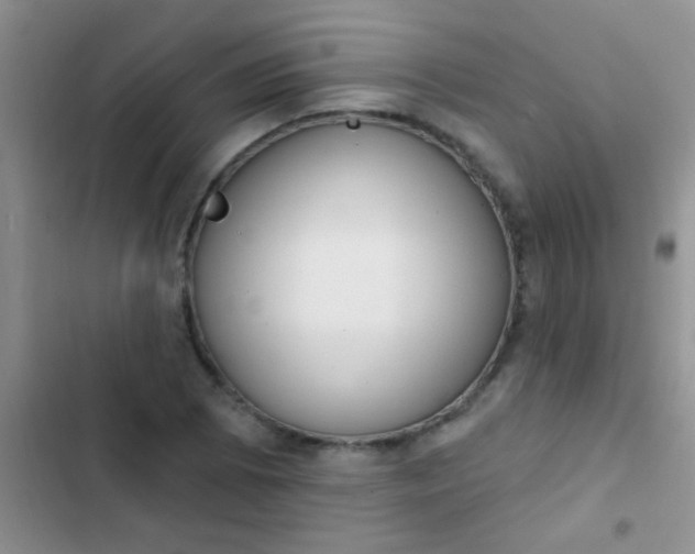 X0000102531073200808221900