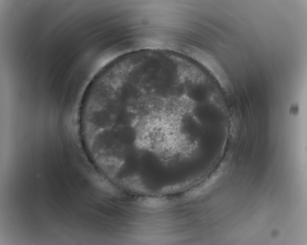 X0000102531074200808221859