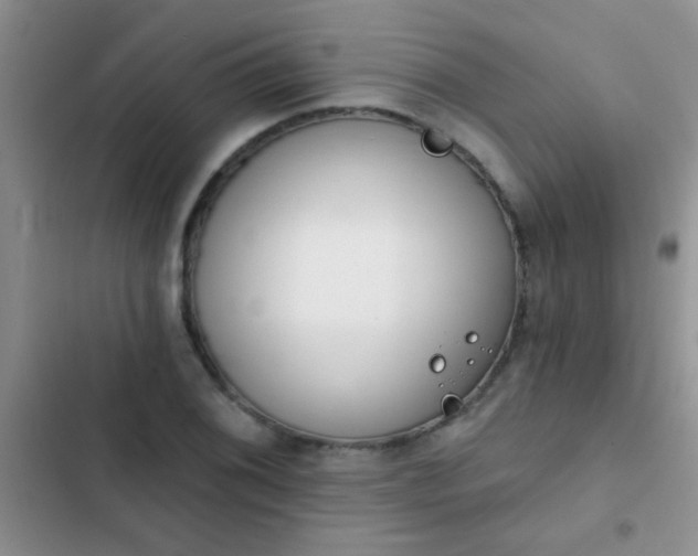 X0000102531076200808221859