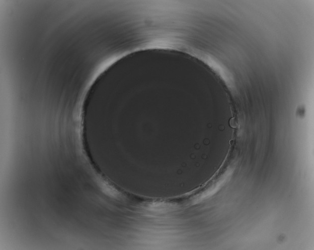 X0000102531077200808221859