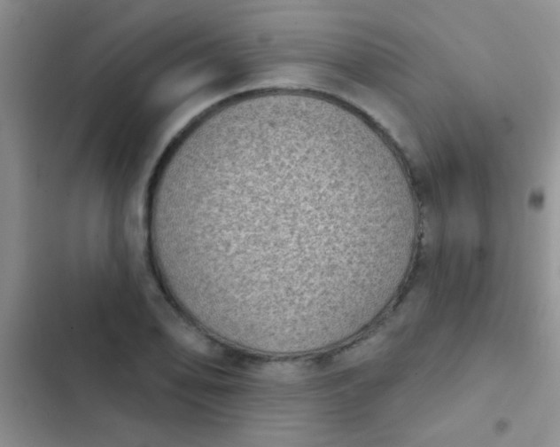 X0000102531078200808221859