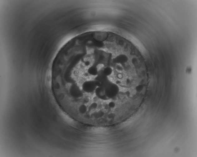 X0000102531079200808221859