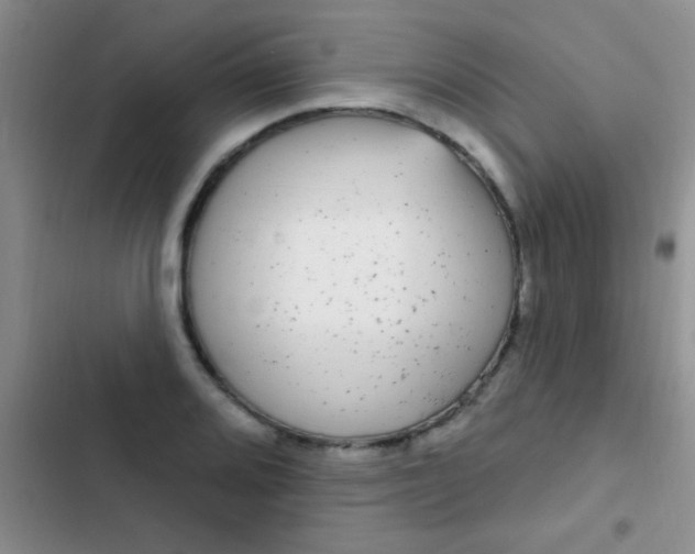 X0000102531080200808221859