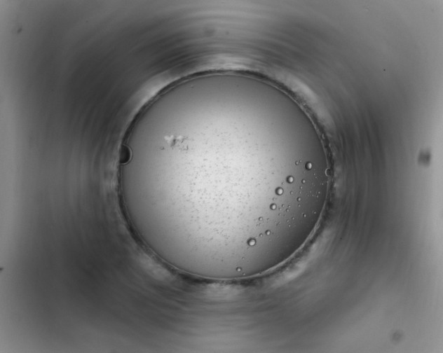 X0000102531081200808221859