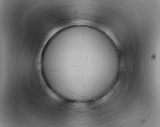 X0000102531082200808221859