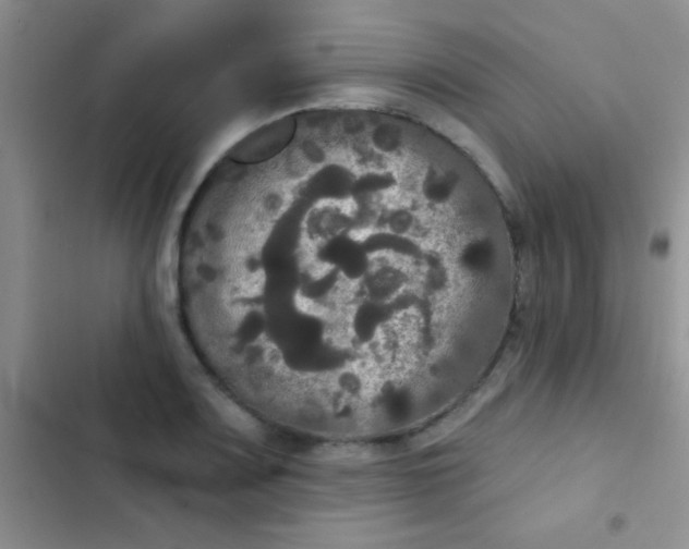 X0000102531083200808221859