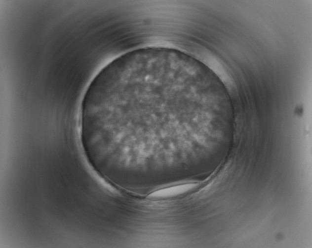 X0000102531084200808221859