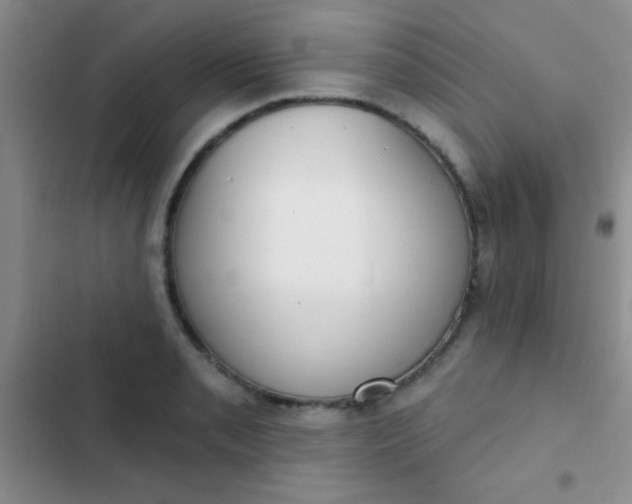 X0000102531085200808221859