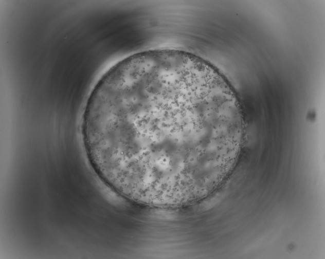 X0000102531086200808221859