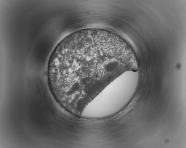 X0000102531087200808221859