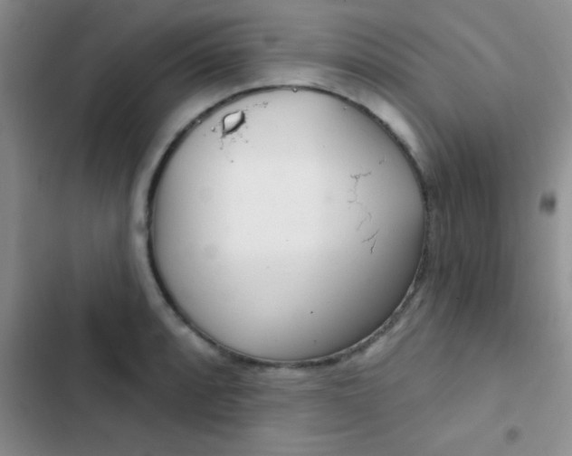 X0000102531088200808221859