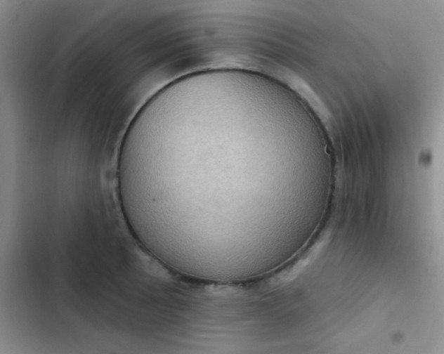 X0000102531089200808221859