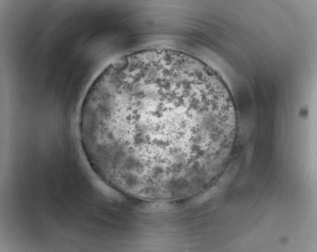 X0000102531090200808221859