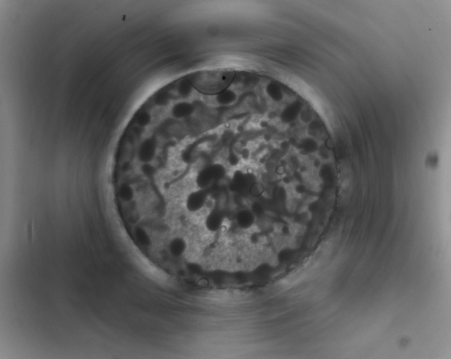 X0000102531091200808221859