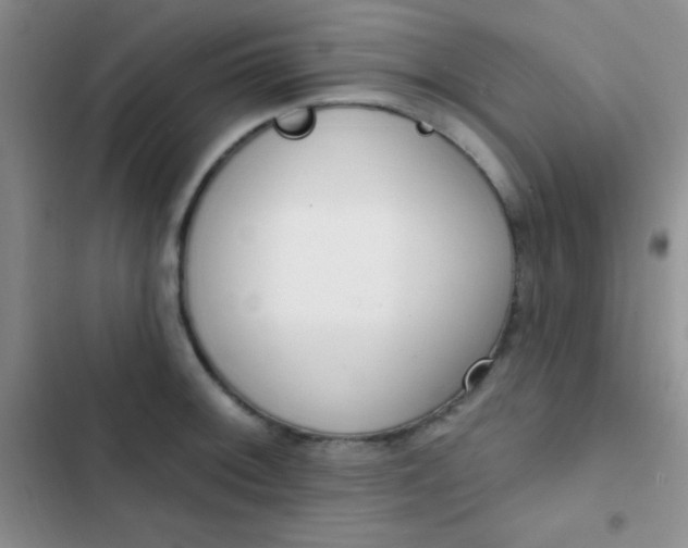 X0000102531092200808221859