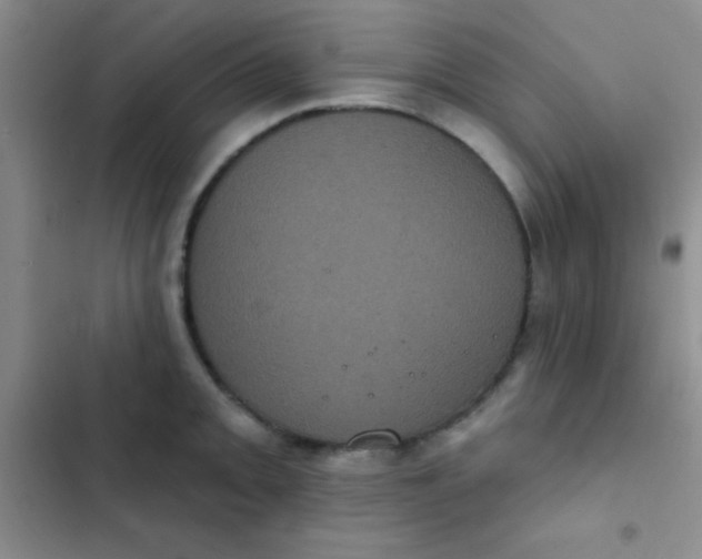 X0000102531093200808221859