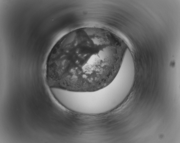 X0000102531095200808221859