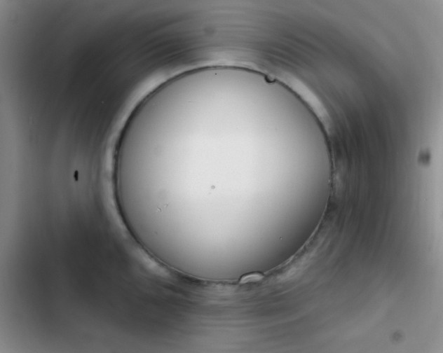 X0000102531096200808221859