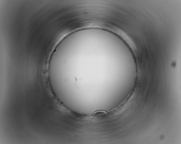 X0000102531097200808221859