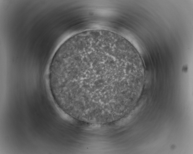 X0000102531098200808221859