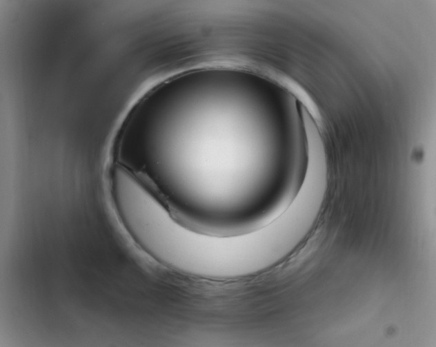 X0000102531099200808221859