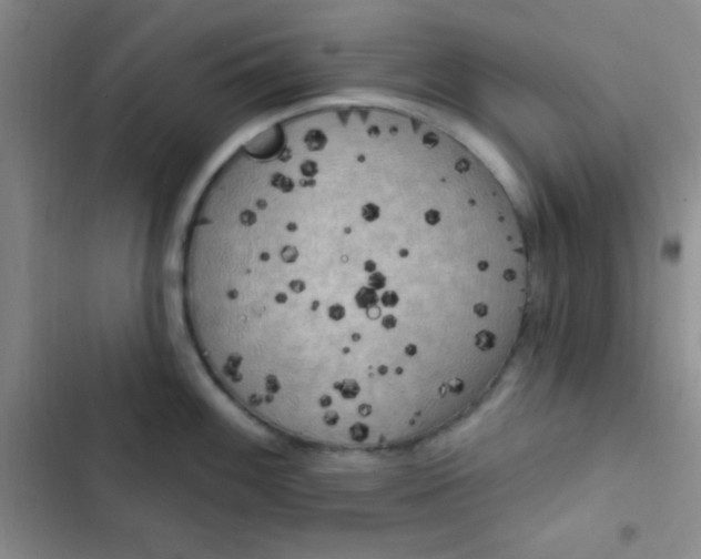 X0000102531100200808221859