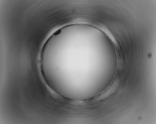 X0000102531101200808221859