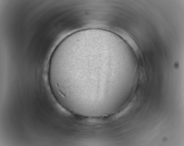 X0000102531102200808221859