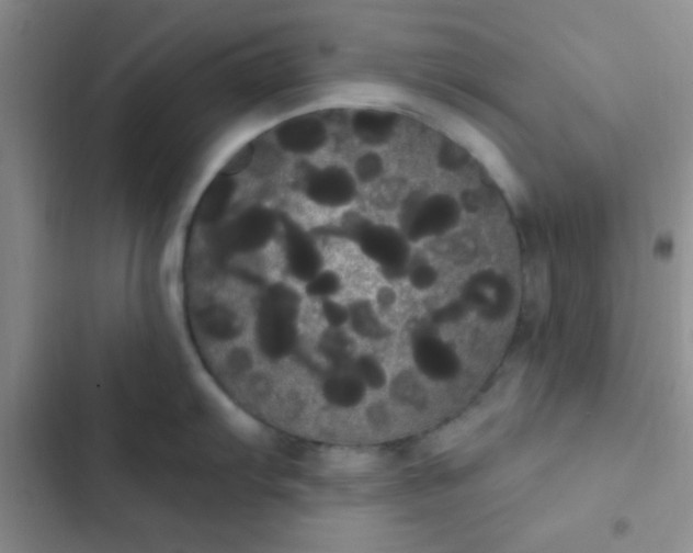 X0000102531103200808221859