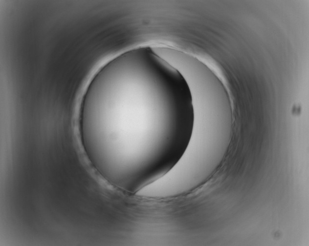 X0000102531104200808221859