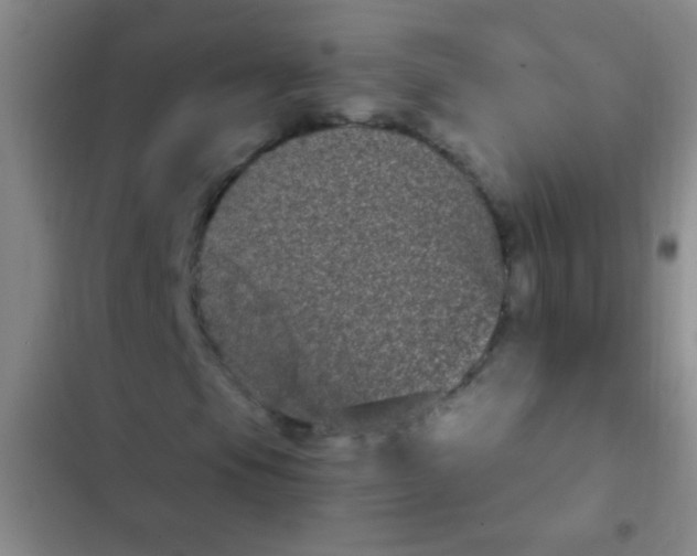 X0000102531105200808221858