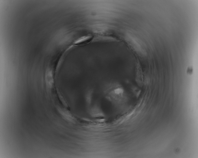 X0000102531106200808221858