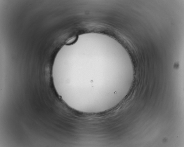 X0000102531108200808221858