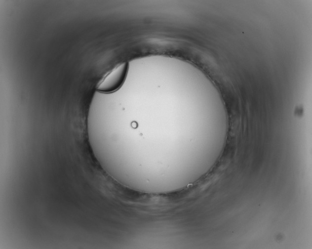 X0000102531109200808221858