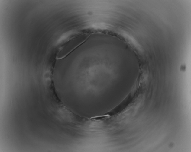 X0000102531110200808221858