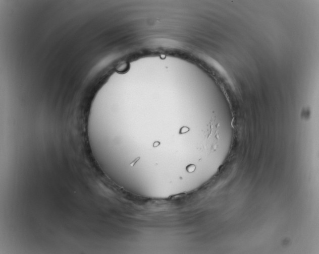 X0000102531112200808221859