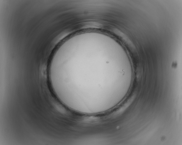 X0000102531113200808221859