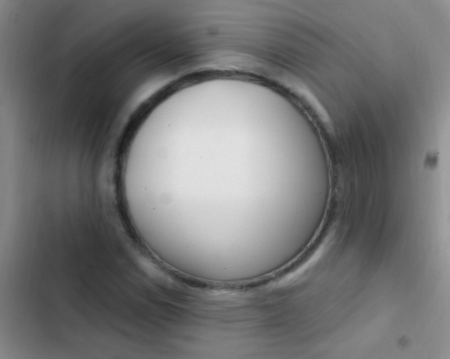 X0000102531114200808221859