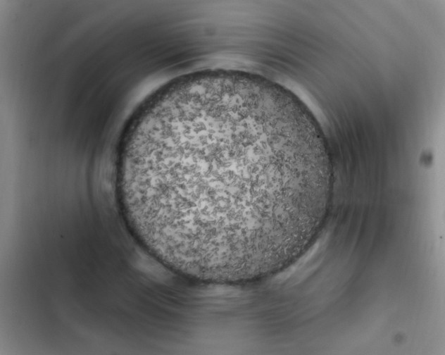 X0000102531115200808221859