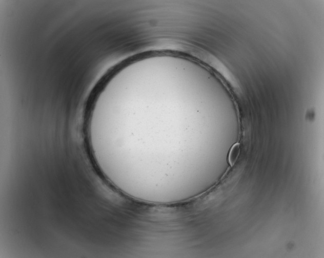 X0000102531116200808221859