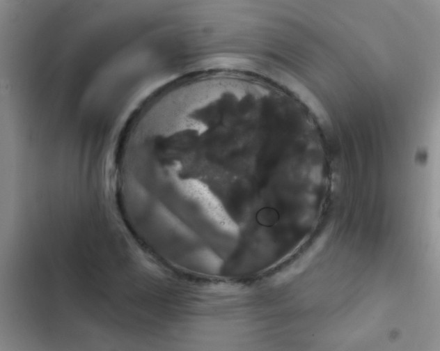 X0000102531117200808221859